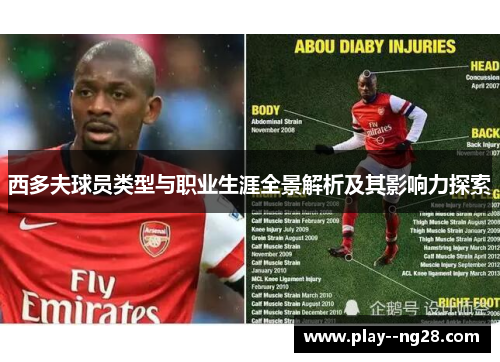 西多夫球员类型与职业生涯全景解析及其影响力探索