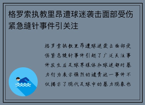 格罗索执教里昂遭球迷袭击面部受伤紧急缝针事件引关注
